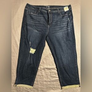 Terra and Sky NWT 22W Boyfriend Jeans Slim
